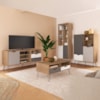 Conjunto Para Sala Rack TV 60 Pol Carvalho Branco Grafite Prata ARLY