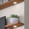 Estante Home Tv 70 Pol 200 cm Campeche Freijo Off White Matte Colibri