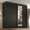 Guarda Roupa Casal 2 Portas de Correr Com Espelho Trian 220 cm Preto ZANZ