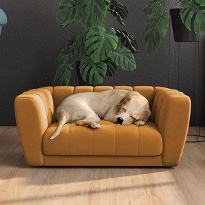 Sofa Caminha Para Pet Alure SL 953 Moll